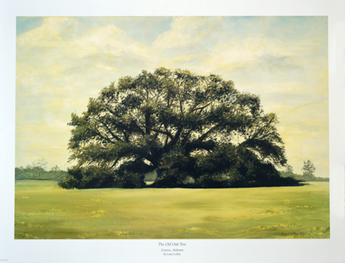 The Old Oak Tree (Geneval, AL)